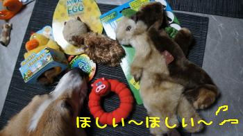いただきもの5