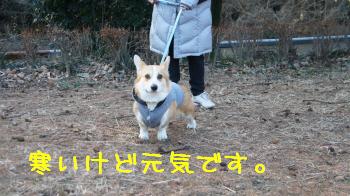 4寒いけど元気