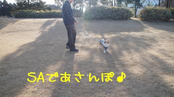 1横川SA到着