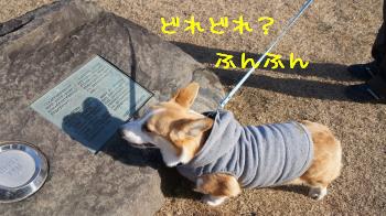 6読めますか?