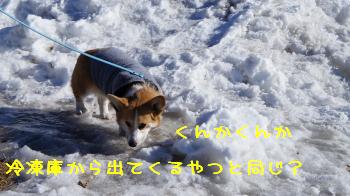 15初☆雪