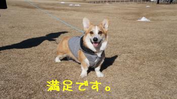 14楽しいらしい
