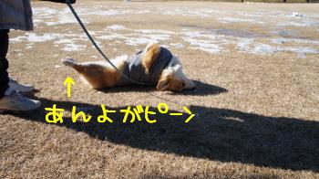 13あんよピーン