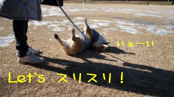 12ここでもスリスリ