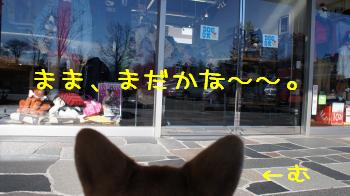 16ままを待つ