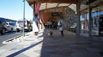 17るんるん♪
