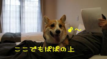 24ここでもぱぱの上