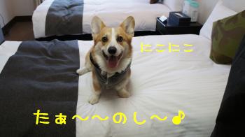23楽しいです♪