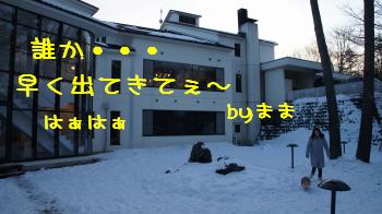 30真っ白な世界