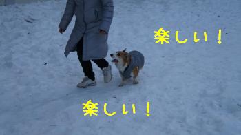 28おもてなしちぅ