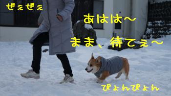 29さらにおもてなしちぅ