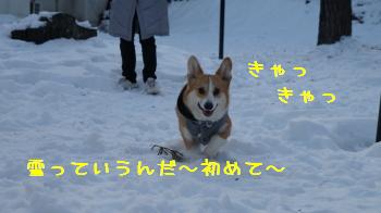 27雪っていうんだ~♪