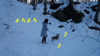 31けっこう広いの。