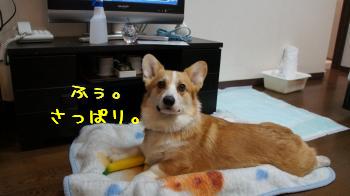 5さっぱりのお顔。