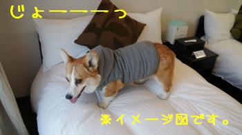 4ちっこの様子