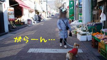 21閑散・・・
