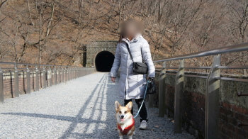 27上はこんなん