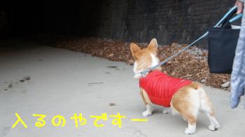 26暗くてこわいの。