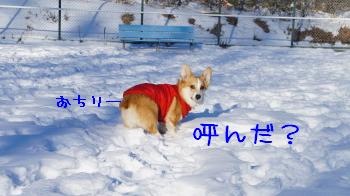19麦っちり