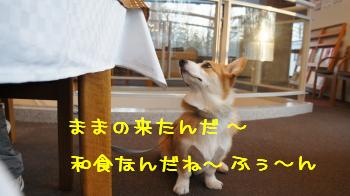 13ままの来た。