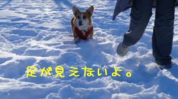 18足が埋もれる
