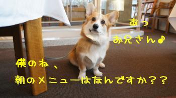 14今日のメニューは??