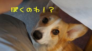 15今日は何もくれない・・・