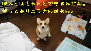 9ちゃんとできました。