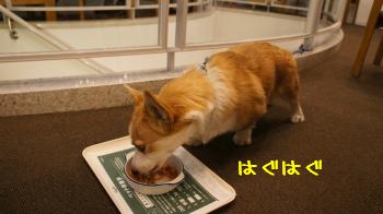 3うましっ