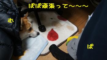 ぬくぬく麦さん