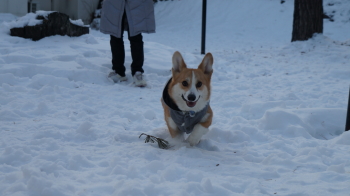 雪遊び