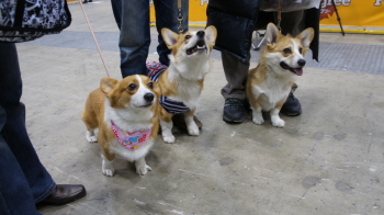 親子写真