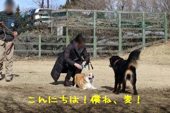 ご挨拶