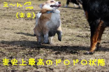 汚い・・・