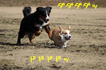 狩られる麦さん