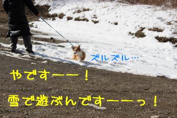 ふんばる麦さん