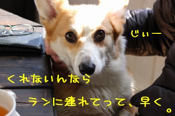 早く!