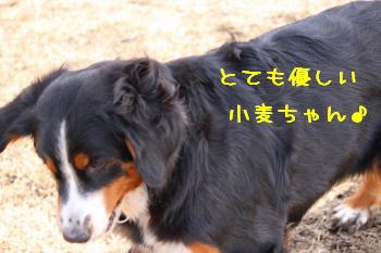 ありがとうね。