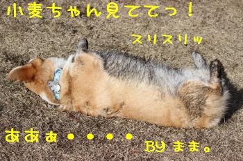 もうどうにでもして・・・