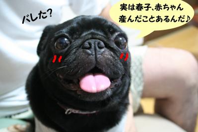 201108311