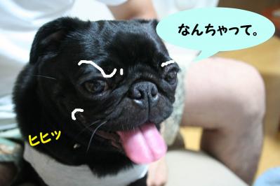201108313