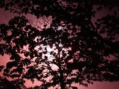 20110827-3.jpg