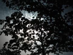 20110827-4.jpg