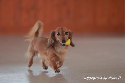 IMG_8842_20110925.jpg