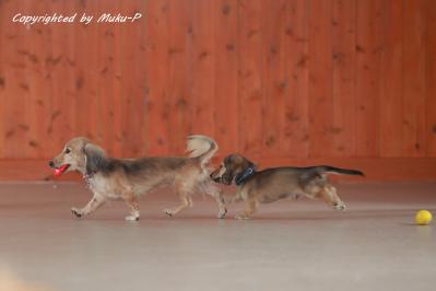 IMG_8878_20110925.jpg