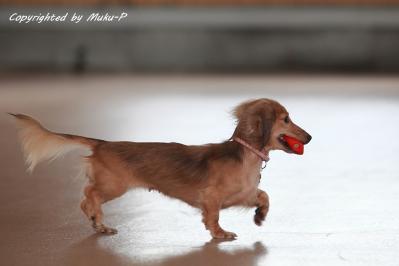 IMG_8903_20110925.jpg