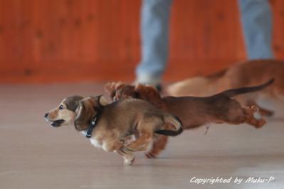 IMG_8916_20110925.jpg