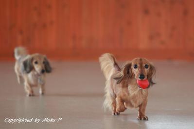 IMG_9029_20110925.jpg