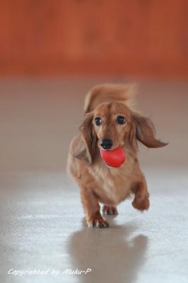 IMG_9032_20110925.jpg