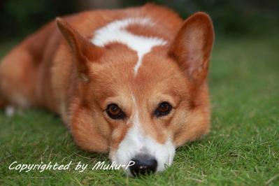 IMG_9224_20111002.jpg
